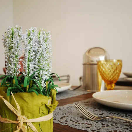 Ξενοδοχείο Opera Dreams 2*